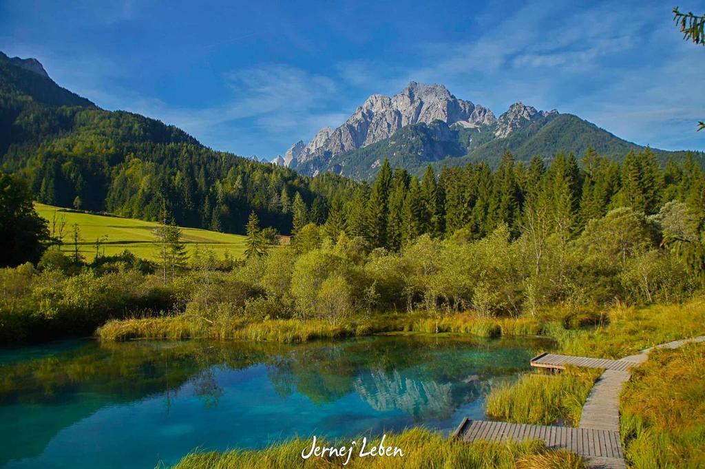 Apartament Alpine Spot Kranjska Gora Zewnętrze zdjęcie