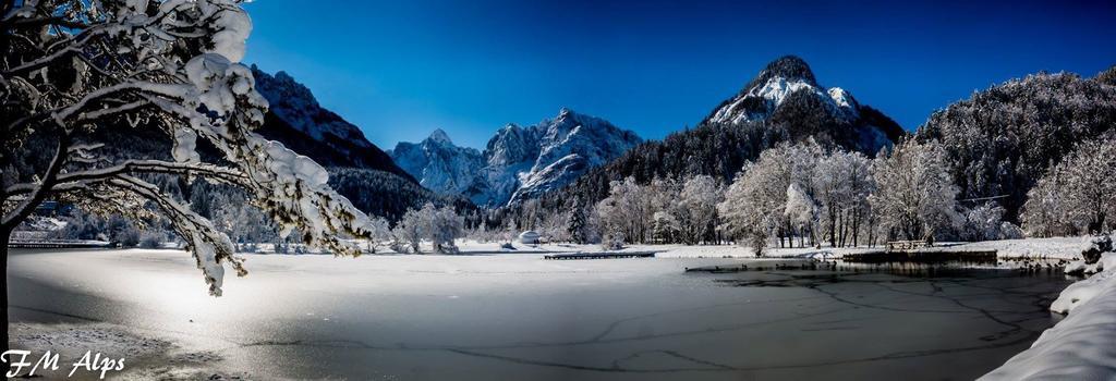 Apartament Alpine Spot Kranjska Gora Zewnętrze zdjęcie