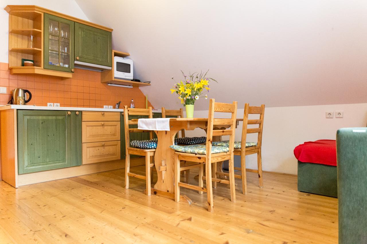Apartament Alpine Spot Kranjska Gora Zewnętrze zdjęcie
